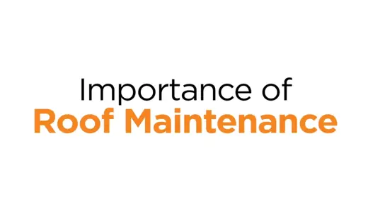 Importance of Roof Maintenance